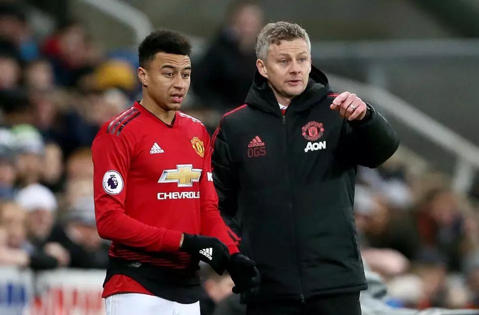 为了找到解 为了找到解